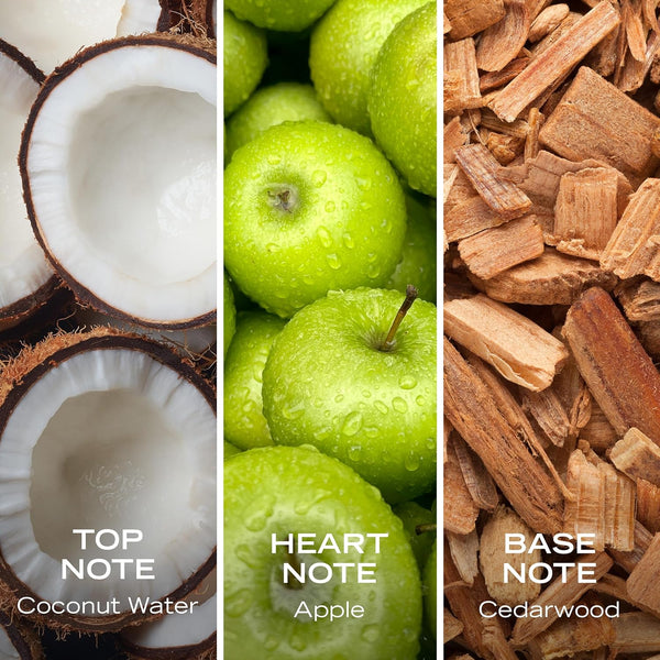 Coastal Coconut Body Mist
